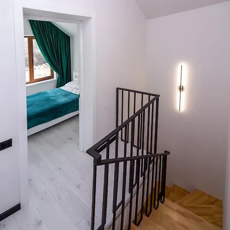 Alpine Holiday home Skhidnytsia